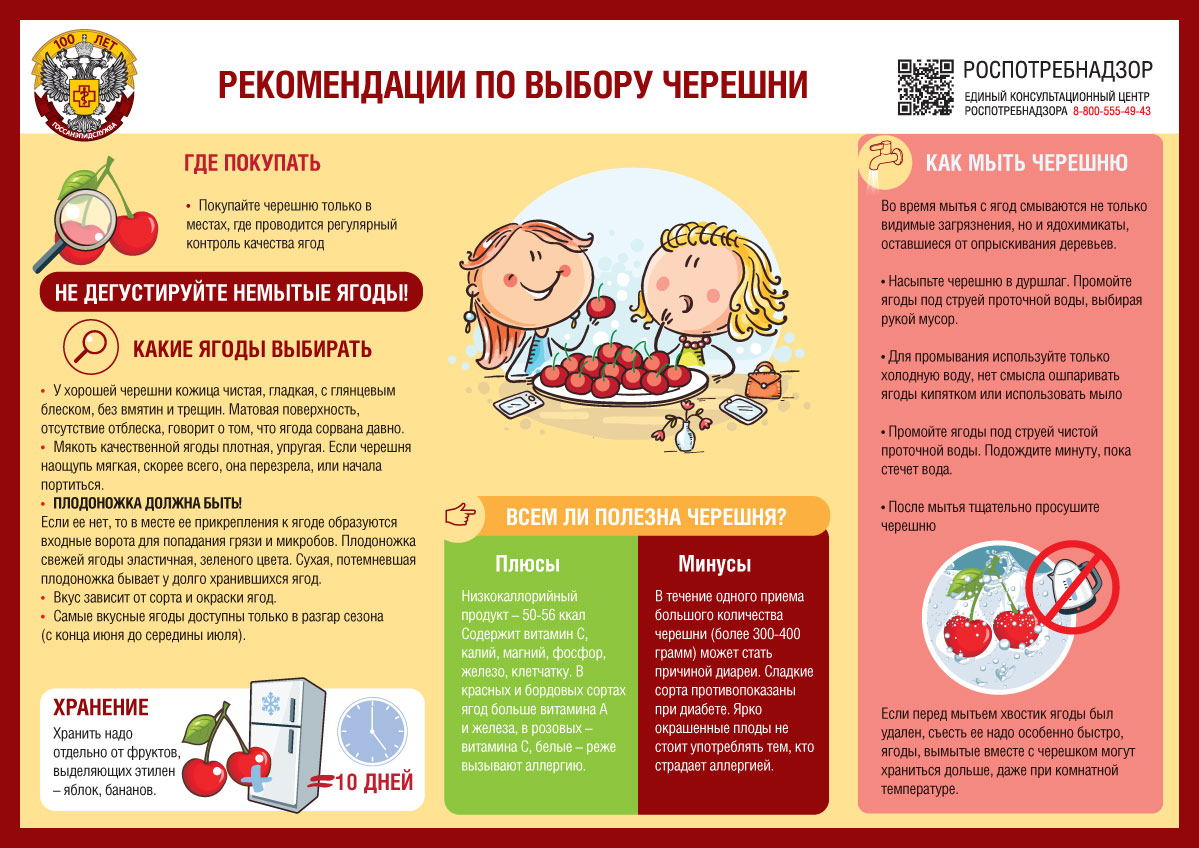 О рекомендациях по выбору черешни
