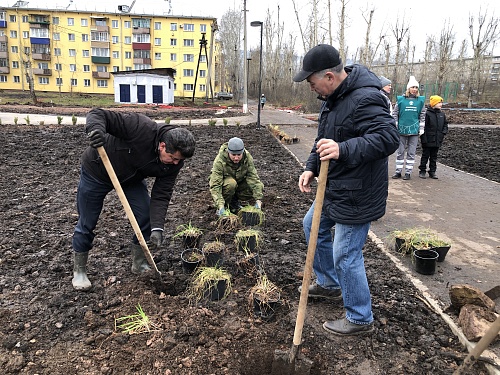 ВОЛОНТЕРЫ ВЫСАДИЛИ ЦВЕТЫ НА КЛУМБАХ У ДК «РЕЧНИКИ»