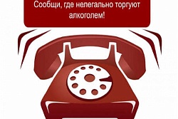 О проведении «горячей линии» по вопросам соблюдения требований законодательства к розничной продаже алкогольной продукции